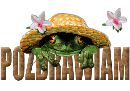 Pozdrawiam żaba